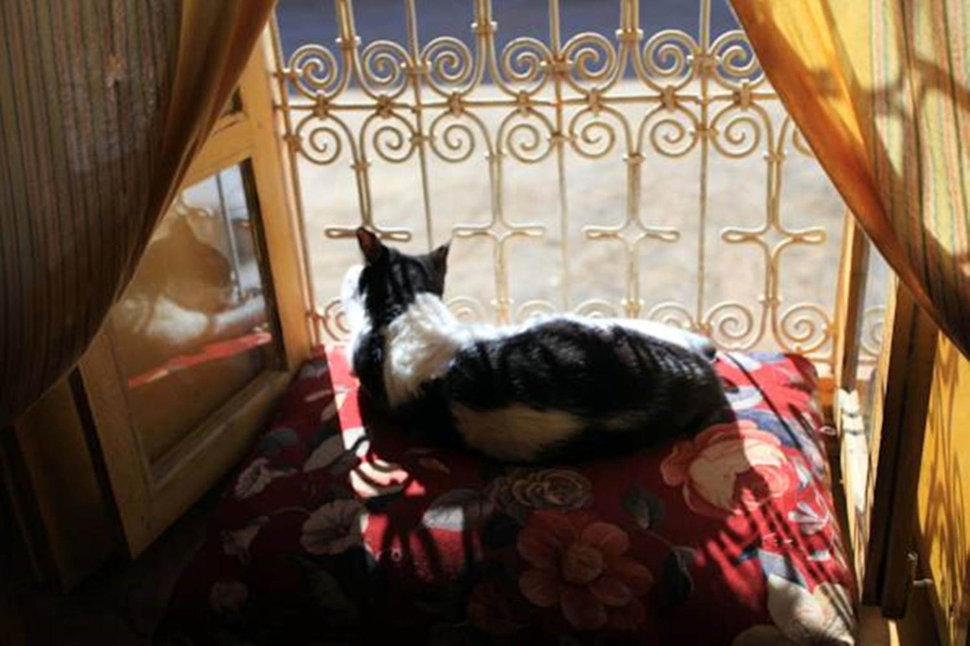 Auberge Chez Julia Мерзуга Экстерьер фото